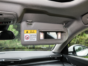 2019400THP PureTech  VI g