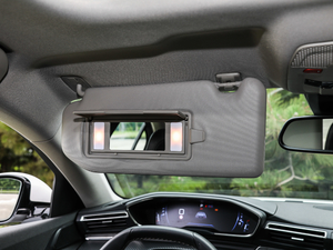 2019400THP PureTech  VI ꖰ壨