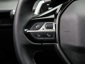 2019400THP PureTech  VI п؅^(q)