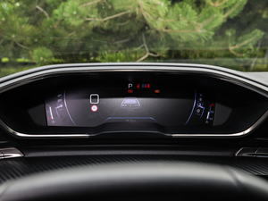 2019400THP PureTech  VI x