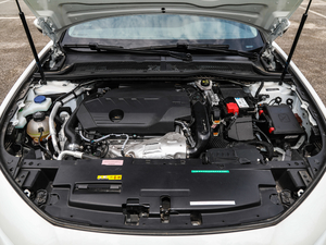 2019400THP PureTech  VI lәC