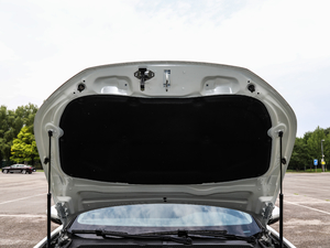 2019400THP PureTech  VI 