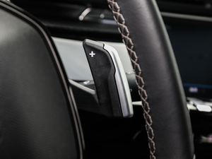 2019400THP PureTech  VI п؅^(q)