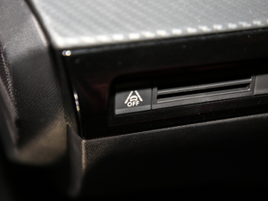 2019400 THP PureTech ҹа VI g