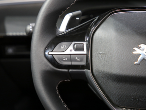 2019400 THP PureTech ҹа VI п؅^(q)