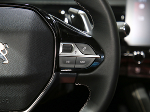 2019400 THP PureTech ҹа VI п؅^(q)