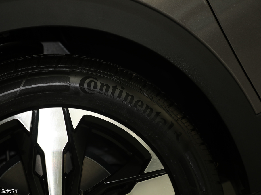 2019(bio)4008 350THP LȰ (gu)V