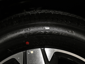 2019350THP LȰ V ݆̥ߴ