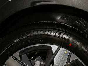 2019350THP LȰ V ݆̥Ʒ