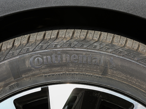 2019380THP AGT V ݆̥Ʒ