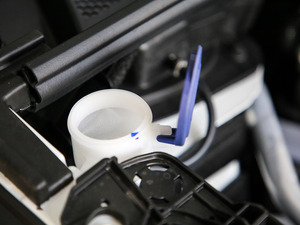 2019350THP LȰ (gu)V 