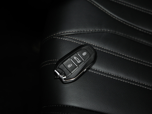 2019380THP ׿Խ V ܇耳