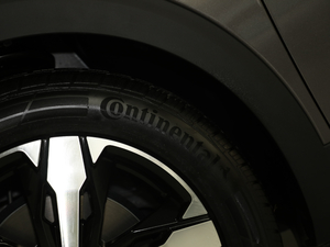 2019350THP LȰ V ݆̥Ʒ