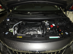 2019350THP LȰ V lәC