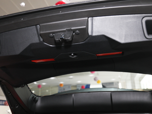 2019360THP ׿Խ VI g