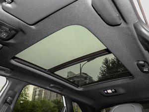 2019400THP ׿Խ VI g