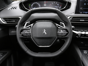 2019400THP ׿Խ VI P