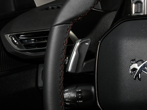 2019360THP LȰ VI п؅^