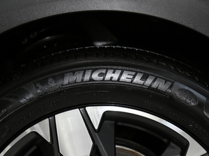 2019360THP LȰ VI ݆̥Ʒ