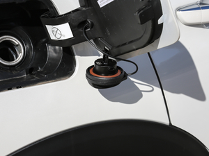 2019400THP LȰ VI (ji)^