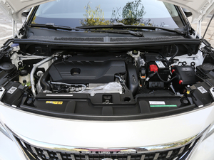 2019400THP LȰ VI l(f)әC(j)