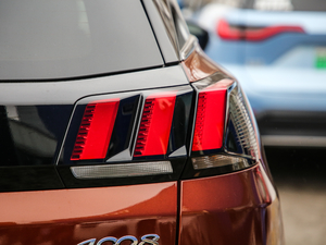 2019400THP AGT VI β