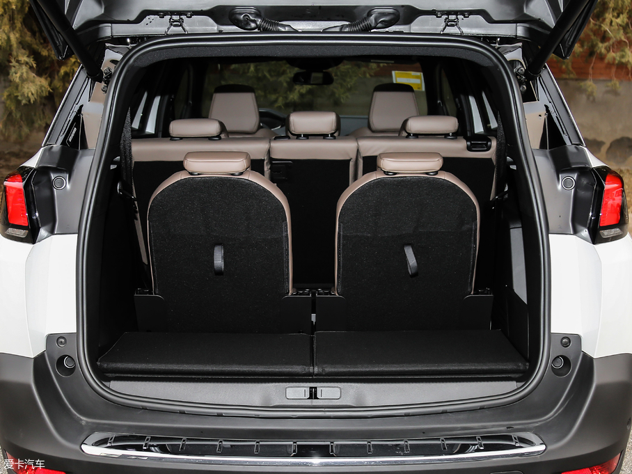 2019(bio)5008 380THP AGT 7 (gu)V