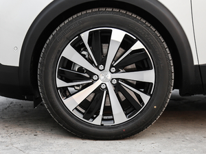 2019380THP AGT 7 V ݆Ȧ