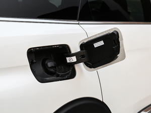 2019380THP AGT 7 (gu)V w