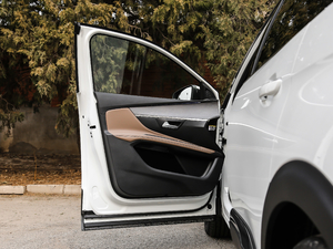 2019380THP AGT 7 V {λ܇T