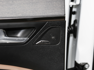 2019380THP AGT 7 V g