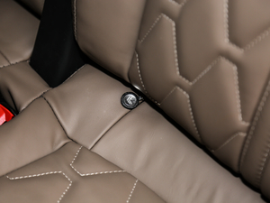 2019380THP AGT 7 V g