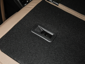 2019380THP AGT 7 V g