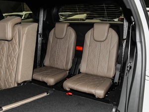 2019380THP AGT 7 V g