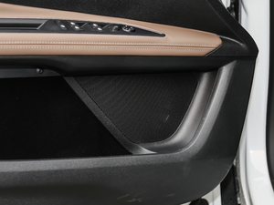 2019380THP AGT 7 V g