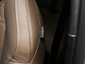 2019380THP AGT 7 V g