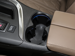 2019380THP AGT 7 V g