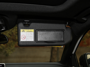 2019380THP AGT 7 V g