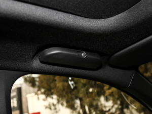 2019380THP AGT 7 V g