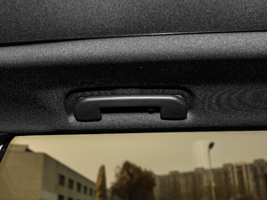 2019380THP AGT 7 V g