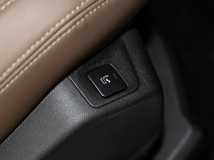 2019380THP AGT 7 V g