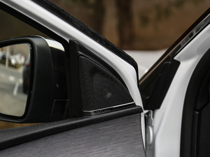 2019380THP AGT 7 V g