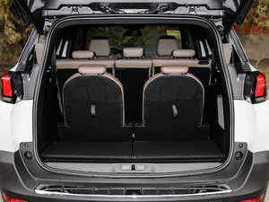 2019380THP AGT 7 V g