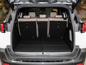 2019380THP AGT 7 V g