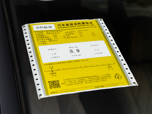 2019380THP AGT 7 V ŲͺĘʾ