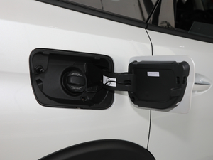 2019360THP Ӣ 7 VI w