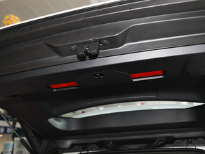 2019360THP Ӣ 7 VI g