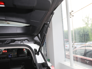 2019360THP Ӣ 7 VI g