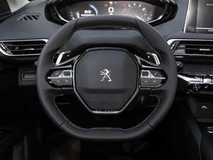 2019400THP ŞA 7 VI P