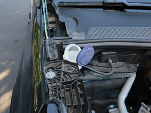 2019400THP ŞA 7 (gu)VI 